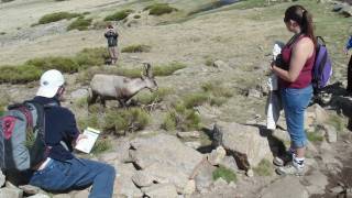 Students Study Ecology in Spain [upl. by Nitsid]