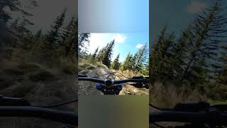 Flashback to riding Hafjell this year 👾 dji downhill moutainbiking mtb norway bike bikepark [upl. by Aehtela198]