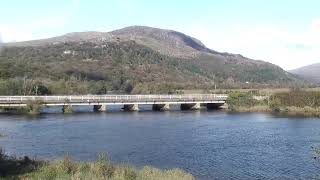 Glaslyn Wildlife Live Stream [upl. by Nosam]