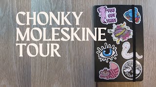 Chubby Moleskine ArtPlus Sketchbook Tour [upl. by Airrehs]