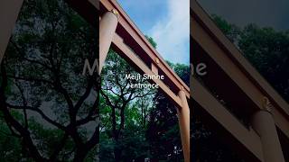 Meiji Shrine 明治神宮 Meiji Jingū  Shinto shrine in Shibuya Tokyo japan gate travel [upl. by Anairotciv17]