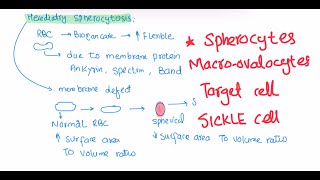 Rbc morphology haematology 24 First Aid USMLE Step 1 in UrduHindi [upl. by Gruchot]