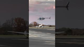 LMPD helicopter swift landing at Bowman Field shorts [upl. by Eibbor697]