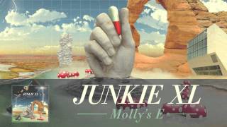 Junkie XL  Mollys E Audio [upl. by Velleman]