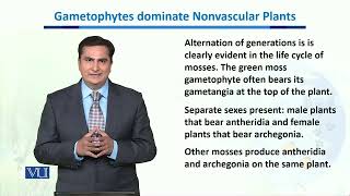 Gametophytes dominate Nonvascular Plants  Biodiversity amp EvolutionII  BT201Topic116 [upl. by Maximilianus]