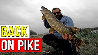 Finally out lure fishing for pike after the warm months [upl. by Crifasi]