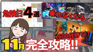 【知らないとヤバい】11月ディズニーランド・シーの注意点・混雑情報・服装など【クリスマス時期完全攻略】 [upl. by Lasley]