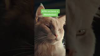 KPN reclame X Watskeburt dolce vita x de jeugd van tegenwoordig mashup kpn katten remix [upl. by Razatlab]