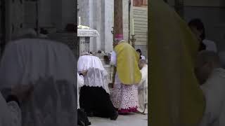 Traditional Latin Mass Catholic Church near me sacerdote shortsfunny shortvideo shortsviral op [upl. by Zadack478]