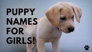 🐶 Puppy Names For Girls  51 CUTE amp TOP Ideas  Names [upl. by Sirred]