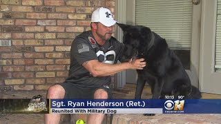 Family says goodbye to Marine war dog [upl. by Eta825]