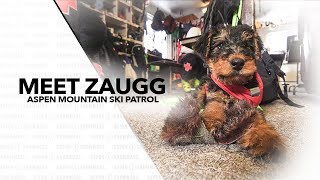 Meet Zaugg  Aspen Mountain Ski Patrol [upl. by Allisirp]