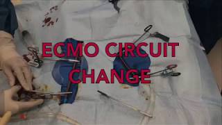 ECMO Circuit Change [upl. by Naitirb626]