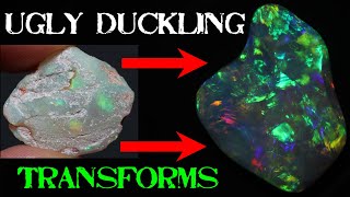 HUGE Transformation Shattered Gem Opal Shell Meet The Dremel Carving Opal Shell Fossil Gem [upl. by Kere]