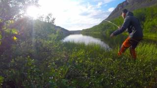 Fluefiske etter ørret Rosareke på jakt etter brunørret med fluestang [upl. by Rebecka909]