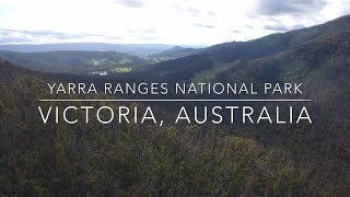 Our World by Drone in 4K  Yarra Ranges National Park Victoria Australia [upl. by Gibrian]