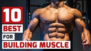 Top Trainers Agree These Are the 10 Best MuscleBuilding Exercises [upl. by Burhans]