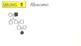 Erstellung und Analyse des Stammbaums  Übung  Biologie  Genetik [upl. by Mcknight718]