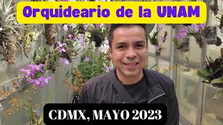 Orquideario de la UNAM mayo 2023 [upl. by Diarmuid]