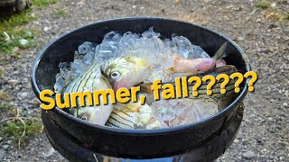 Fairmont Minnesota Fall fishing report time to wake up green day September ended [upl. by Cochrane29]