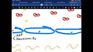 شرح Cougulation Factors Clotting Factors [upl. by Sabec]