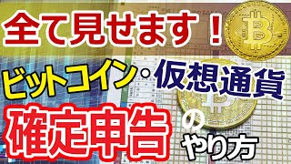 ビットコイン・仮想通貨の確定申告のやり方全て見せます [upl. by Eamon270]