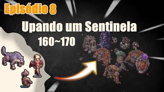 Ragnarok Online  Renewal Leveling  199 Knight  Speedrun iRO [upl. by Dnalrag679]