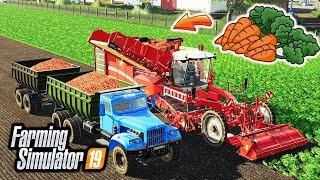 FS19 How to Grow and Harvest Carrots  LS19 Timelapse Mods  Map Tractors Truck Tools [upl. by Ecnerol154]