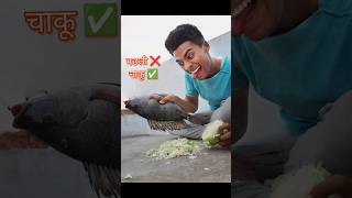 अगर घर के kitchen में बर्तन न हो🫨Fish shorts viral 100million [upl. by Undry]