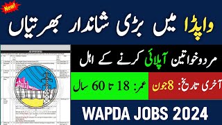 Wapda jobs 2024 online apply  Jobs in pakistan 2024  latest government jobs 2024 [upl. by Wit722]