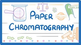 GCSE Chemistry  Paper Chromatography 63 [upl. by Aitsirhc455]