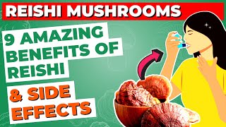 9 Health Benefits of Reishi Mushroom amp Side Effects [upl. by Lenz127]