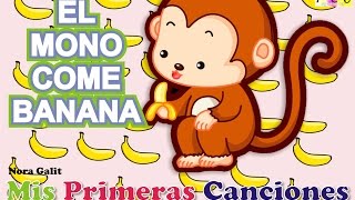 El Mono Come Banana  Nora Galit [upl. by Kirk]