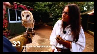 The job of falconer  Le métier de fauconnier au Puy du Fou 30 Millions dAmis Soustitres [upl. by Nasah]