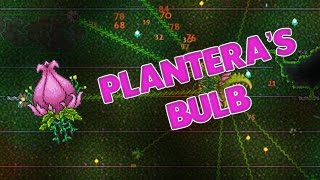 Terraria  HOW TO FIND PLANTERAS BULB [upl. by Adnilrev]