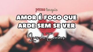 AMOR É FOGO QUE ARDE SEM SE VER de Luís de Camões [upl. by Cleopatra400]