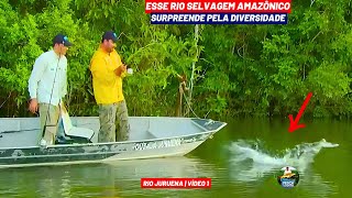 PESCARIA BOA É ASSIM COM MUITO PEIXE NESSE IMPRESSIONANTE RIO SELVAGEM AMAZÔNICO  Vídeo 1 [upl. by Uase]