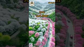 surah Alkahf by mishary al afasy juz30 islamicvibe shorts mishary quranforkidsshortsfeed [upl. by Earas]