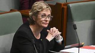 ‘Unbelievable’ Zali Steggall and teals’ ambitious emissions target criticised [upl. by Aseena462]