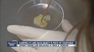 Campbells Object in soup was vegetable [upl. by Nevart418]