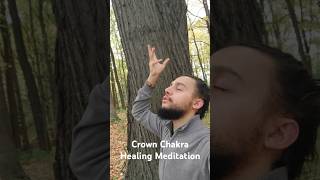 Vortex Healing Guided Meditation  Emotional Clearing 🤍✨️🕊 crownchakra healingmeditation [upl. by Graybill]