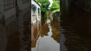 Cienaga de Cabarete Urgente ⚠️ Severas inundaciones afectan [upl. by Marillin92]