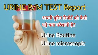 How to read Urine test report  urine urineinfection urineproblem myhealthylifestyle myhealth [upl. by Gayn]