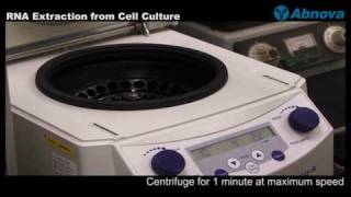 RNA Extraction from Cell Culture [upl. by Ruperto611]