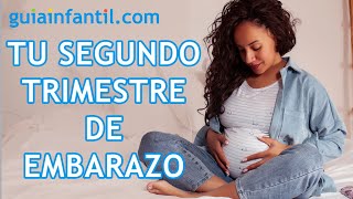 El segundo trimestre del embarazo🤰Desarrollo del bebé y cambios en la embarazada en el mes 4 5 y 6 [upl. by Xylina]