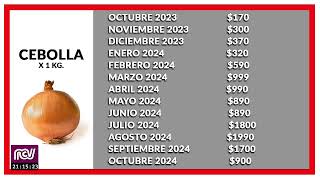 Relevamiento anual de precios  Octubre 2023 a Octubre 2024 [upl. by Wilber]