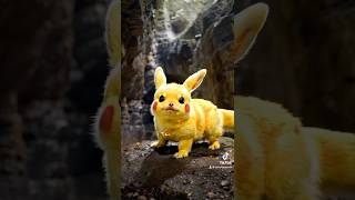 ⚡️ pikachu⚡ pokemontcp pokemongo pikapi pikapikapikachu pikapika [upl. by Hallock]