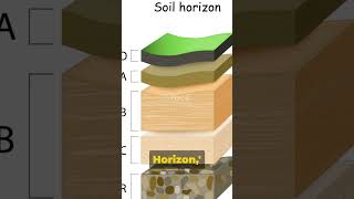 Soil Horizons [upl. by Rawdin]