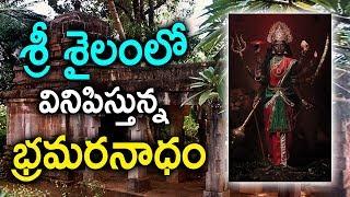 శ్రీశైలం అడవుల్లో తిరుగుతున్నా బ్రమరంబా దేవిIn Srisailam Lord shiva amp Bramaramba Devi Shown Miracle [upl. by Grimbly]