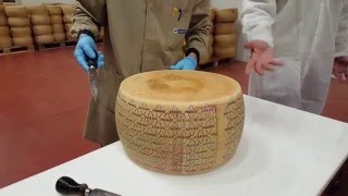 A la découverte du Grana Padano [upl. by Lema]